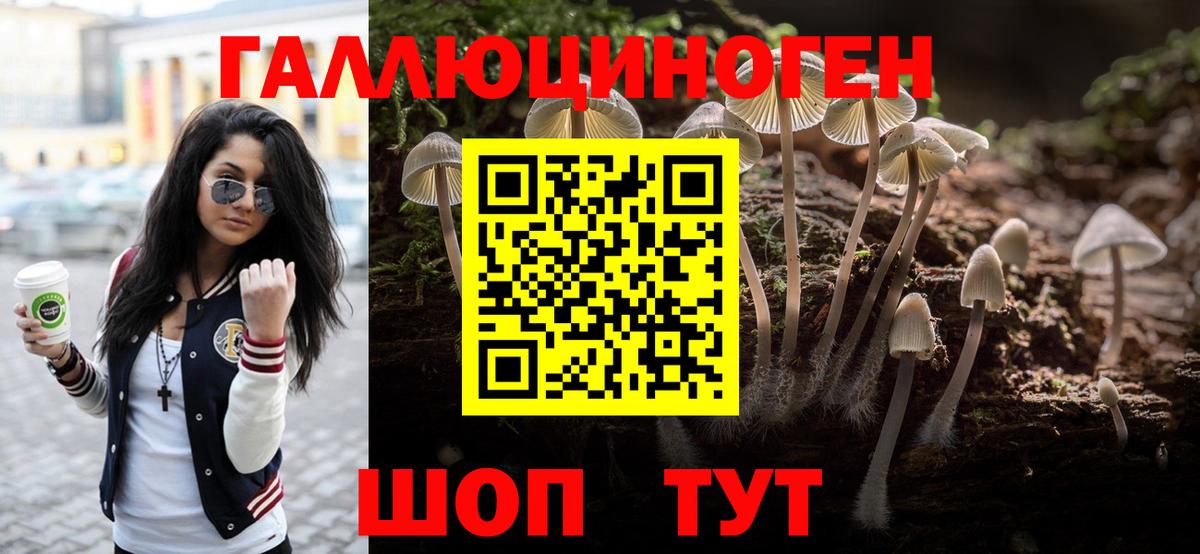 Псилоцибиновые грибы GOLDEN TEACHER  Псилоцибиновые грибы Magic Shrooms  Вход с VPN  Лабинск 
